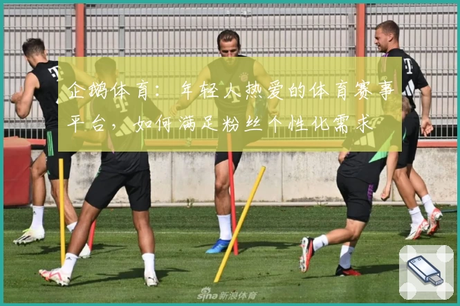 企鹅体育：年轻人热爱的体育赛事平台，如何满足粉丝个性化需求