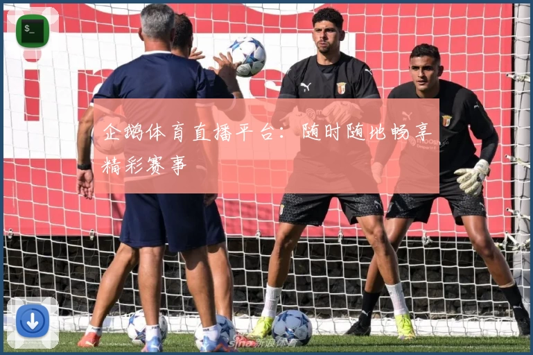 企鹅体育直播平台：随时随地畅享精彩赛事
