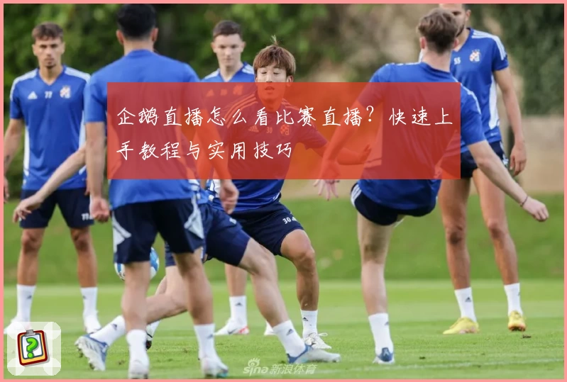 企鹅直播怎么看比赛直播？快速上手教程与实用技巧