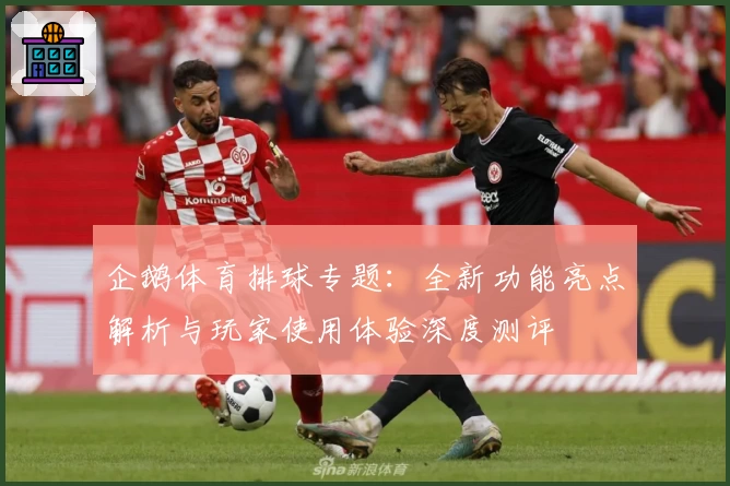 企鹅体育排球专题:全新功能亮点解析与玩家使用体验深度测评