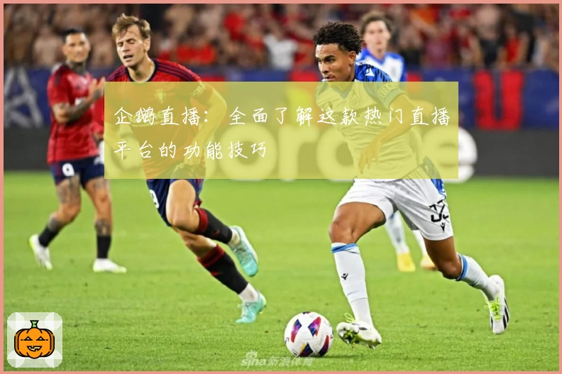企鹅直播：全面了解这款热门直播平台的功能技巧