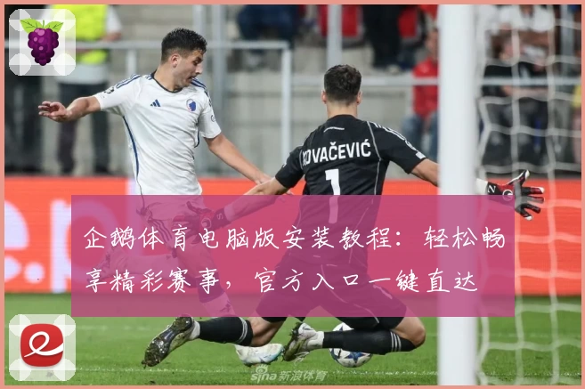 企鹅体育电脑版安装教程：轻松畅享精彩赛事，官方入口一键直达