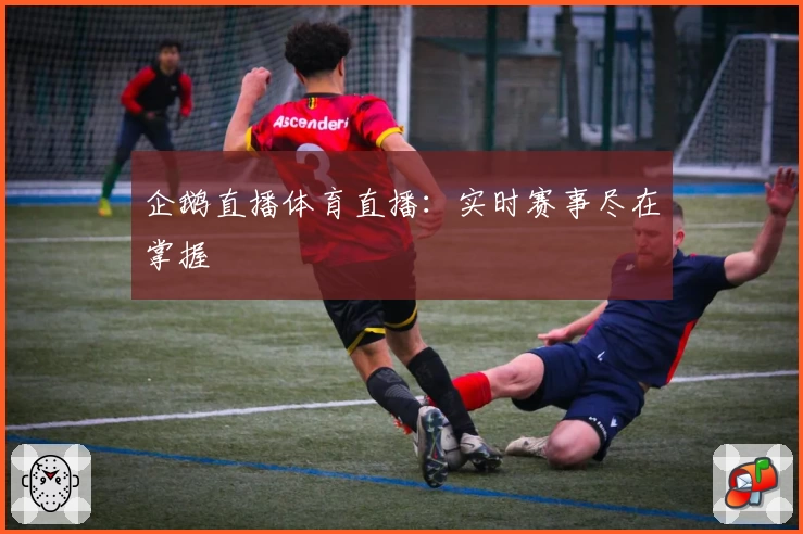 企鹅直播体育直播：实时赛事尽在掌握