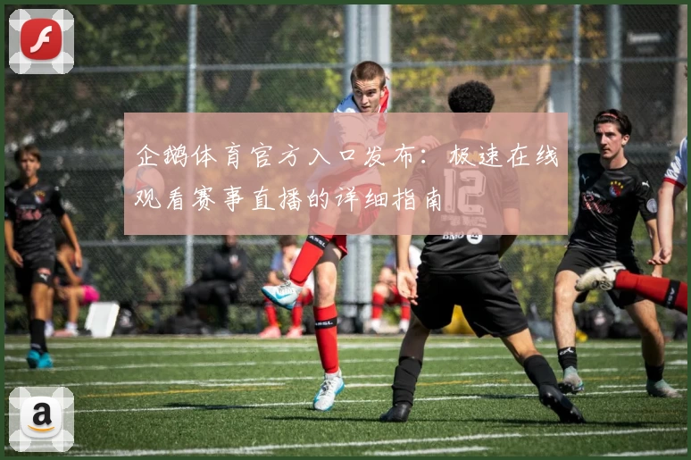 企鹅体育官方入口发布：极速在线观看赛事直播的详细指南