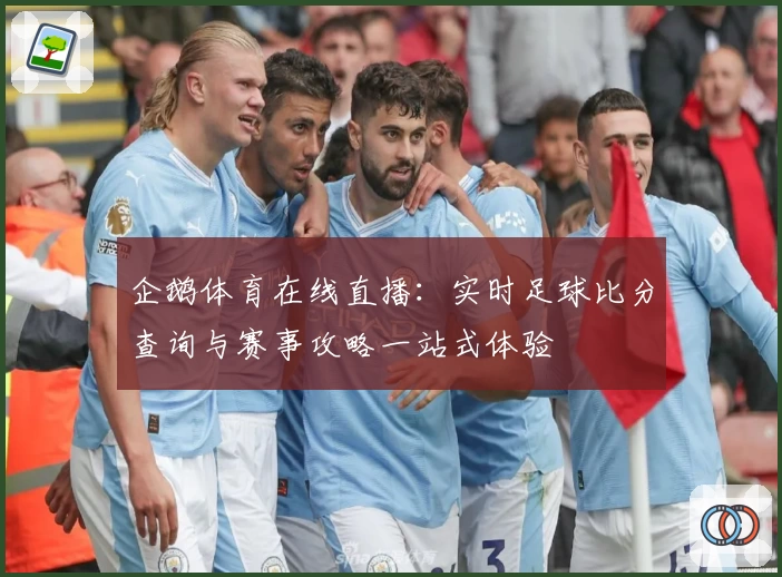 企鹅体育在线直播：实时足球比分查询与赛事攻略一站式体验